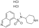 Isoquinoline-5-sulfonic acid-N-methyl-(piperidin-4-yl)-amide dihydrochloride CAS#: 934349-13-0