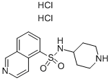 Isoquinoline-5-sulfonic acid piperidin-4-ylamide dihydrochloride CAS#: 936250-34-9