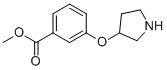 METHYL 3-(3-PYRROLIDINYLOXY)BENZOATE CAS#: 946715-41-9