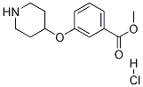 Methyl 3-(4-piperidinyloxy)benzoate hydrochloride CAS#: 936128-98-2