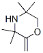 Morpholine, 3,3,5,5-tetramethyl-2-methylene- CAS#: 99777-12-5