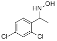 N-[1-(2,4-DICHLORO-PHENYL)-ETHYL]-HYDROXYLAMINE CAS#: 904813-22-5