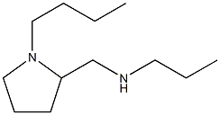 N-[(1-BUTYL-2-PYRROLIDINYL)METHYL]-1-PROPANAMINE CAS#: 901585-73-7