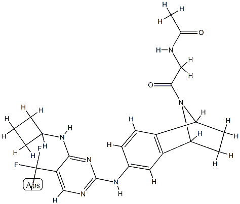 N-[2-[6-[[4-(Cyclobutylamino)-5-(trifluoromethyl)-2-pyrimidinyl]amino]-1,2,3,4-tetrahydronaphthalen-1,4-imin-9-yl]-2-oxoethyl]acetamide CAS#: 942490-07-5