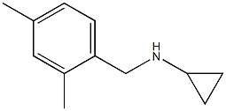 N-(2,4-dimethylbenzyl)cyclopropanamine CAS#: 926185-86-6