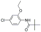 N-(4-CHLORO-6-ETHOXYPHENYL)-2,2-DIMETHYLPROPANAMIDE CAS#: 922162-66-1