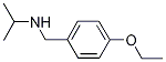 N-(4-Ethoxybenzyl)-2-propanamine CAS#: 940196-09-8