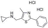 N-[(4-Methyl-2-phenyl-1,3-thiazol-5-yl)methyl]-cyclopropanamine dihydrochloride CAS#: 937667-91-9