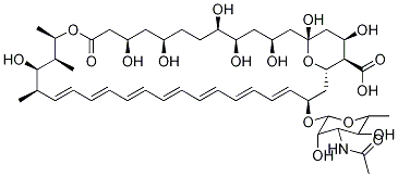 N-Acetyl Amphotericin B CAS#: 902457-23-2