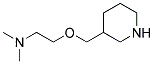 N,N-DIMETHYL-2-(3-PIPERIDINYLMETHOXY)-1-ETHANAMINE CAS#: 946786-99-8