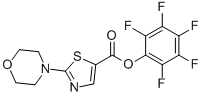 Pentafluorophenyl 2-morpholin-4-yl-1,3-thiazole-5-carboxylate CAS#: 941716-88-7