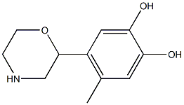 Pyrocatechol, 4-methyl-5-(2-morpholinyl)- (6CI) CAS#: 99986-57-9