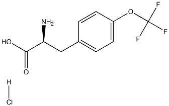 (S)-2-Amino-3-(4-(trifluoromethoxy)phenyl)propanoic acid hydrochloride CAS#: 921609-34-9