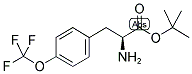 (S)-4-(TRIFLUOROMETHOXYL)PHENYLALANINE T-BUTYL ESTER CAS#: 921609-32-7