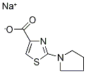 Sodium 2-pyrrolidin-1-yl-1,3-thiazole-4-carboxylate CAS#: 921076-45-1
