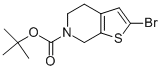 THIENO[2,3-C]PYRIDINE-6(5H)-CARBOXYLIC ACID, 2-BROMO-4,7-DIHYDRO-, 1,1-DIMETHYLETHYL ESTER CAS#: 910443-31-1