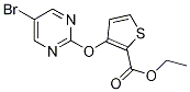 ethyl 3-[(5-bromo-2-pyrimidinyl)oxy]-2-thiophenecarboxylate CAS#: 952182-83-1