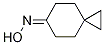 spiro[2.5]octan-6-one oxiMe CAS#: 921602-70-2