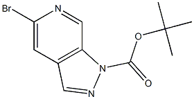 tert-butyl 5-broMo-1H-pyrazolo[3,4-c]pyridine-1-carboxylate CAS#: 929617-41-4