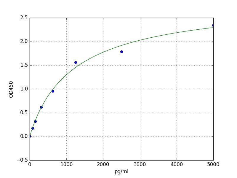 Anti-CKMB antibody in ELISA