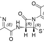 Cefotaxime EP Impurity D CAS#: 65715-12-0