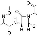 Cefotaxime Impurity K CAS#: 63527-52-610