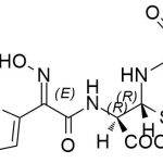 Cefdinir Impurity P CAS#: 91832-40-516