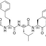 Carfilzomib Impurity 41 CAS#: 868540-17-441