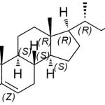Exemestane Impurity 16 CAS#: 107868-30-416