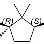 Levocarnitine Impurity B CAS#: 124-83-4