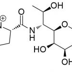 Lincomycin N-oxide CAS#: 154-21-28