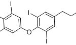 Levothyroxine O-Methyl Amine Impurity CAS#: 2828-49-12