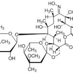 Erythromycin E Oxime CAS#: 114-07-81001027