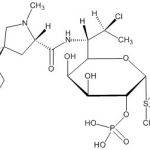Clindamycin Phosphate Dioxide Impurity 1 CAS#: 24729-96-21006019