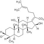 Fusidic Acid Impurity O(EP),Deacetylfusidic Acid CAS#: 6990-06-320053015