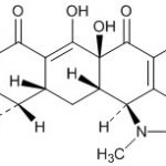 Demeclocycline Impurity A(EP) CAS#: 987-02-0