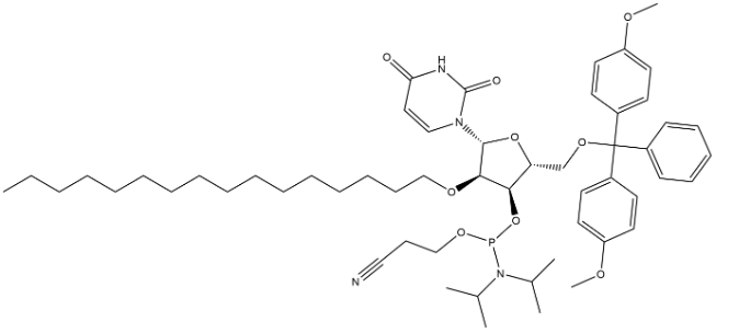 Structure of DMTr-2'-O-C16-rU-3'-CE-Phosphoramidite CAS 2382942-83-6