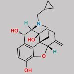 10-Alpha Hydroxy Nalmefene CAS#: N/A