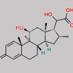 17-Dehyroxy Dexamethasone Glyoxilic Acid Alcohol CAS#: N/A