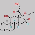 24-Hydroxy Budesonide CAS#: N/A
