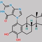 4-Hydroxy Estrone 1-N7-Guanine CAS#: 178971-92-1
