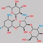 6'''-Deamino-6'''-hydroxyparomomycin II CAS#: 78549-65-2