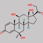 6-Hydroxy Methylprednisolone CAS#: 229019-42-5