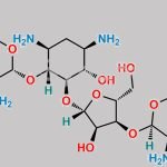6'''-Hydroxyparmomomycin CAS#: 78524-72-8