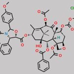 Paclitaxel Impurity 81 CAS#: 1033574-06-9