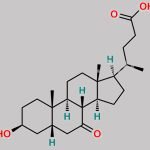 7-Oxoisolithocholic acid CAS#: 67008-26-8