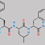 7(R)-Epi Carfilzomib (2R,4S)-Diol CAS#: N/A