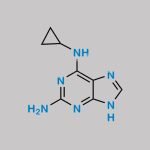 Cyclopropyldiaminopurine Abacavir (USP) CAS#: 120503-69-7