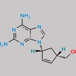 Abacavir EP Impurity C CAS#: 124752-25-6