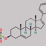 Abiraterone Sulfate Sodium Salt CAS#: N/A